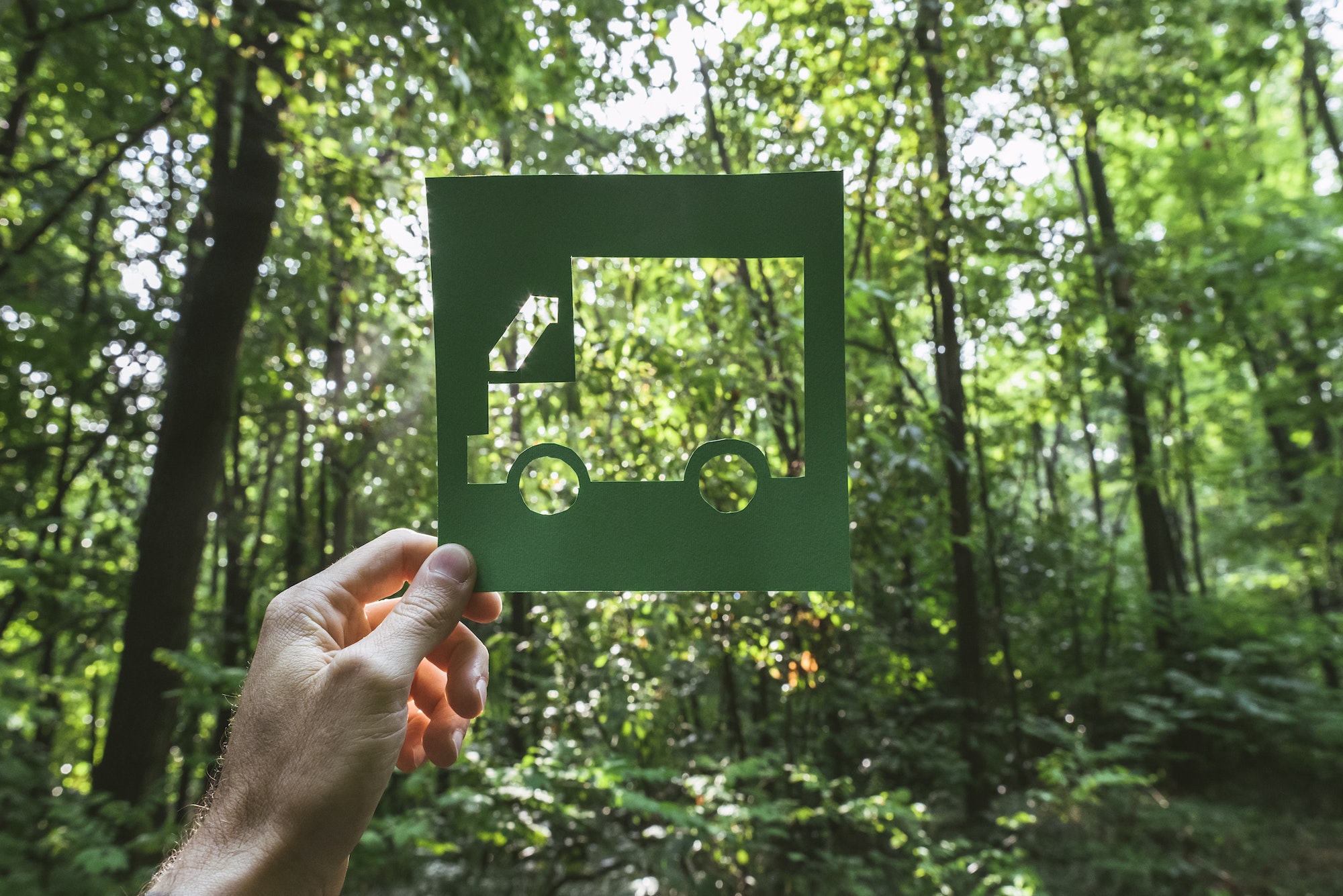 Eine Hand hält eine grüne Schablone eines Transport-LKW, im Hintergrund sieht man einen sonnendurchfluteten Wald.